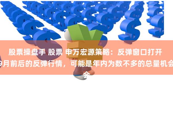 股票操盘手 股票 申万宏源策略：反弹窗口打开 9月前后的反弹行情，可能是年内为数不多的总量机会