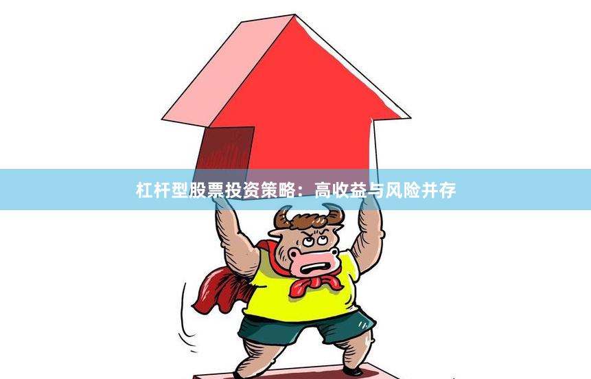 杠杆型股票投资策略：高收益与风险并存